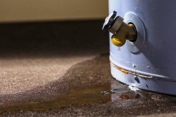 Best Sewage cleanup and water damage restoration  in Holgate, OH