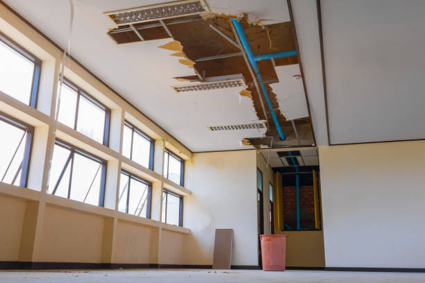 Best Water damage restoration cost  in Holgate, OH