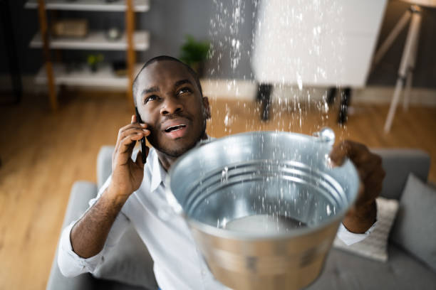 Best 24-hour water damage restoration  in Holgate, OH