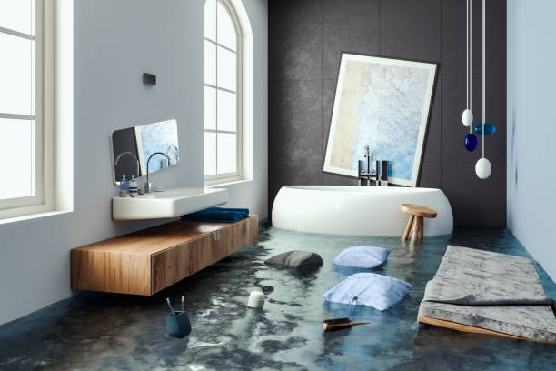 Best Local water damage restoration  in Holgate, OH