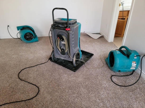 Trusted Holgate, OH Water damage restoration Experts