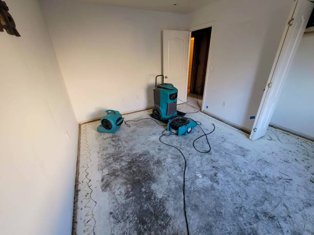  Holgate, OH Water damage restoration Pros