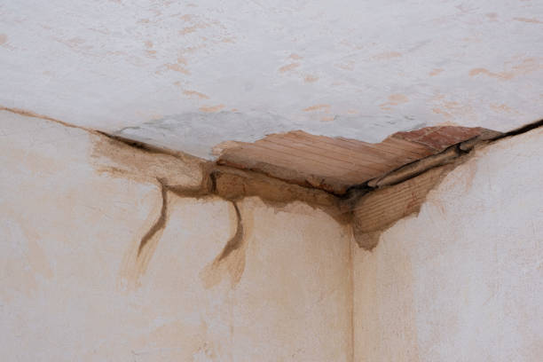 Best Commercial water damage restoration  in Holgate, OH