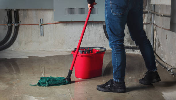 Best Carpet water damage restoration  in Holgate, OH
