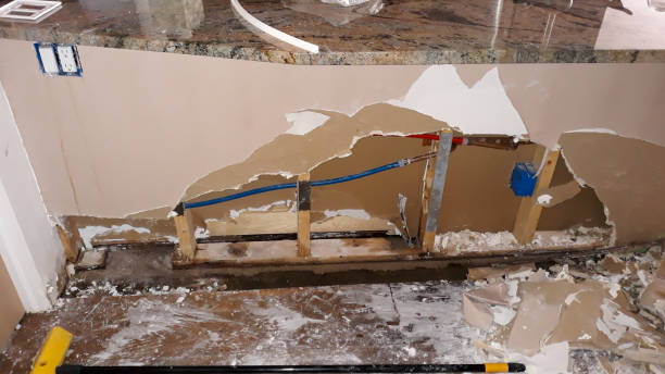 Best 24/7 water damage repair  in Holgate, OH