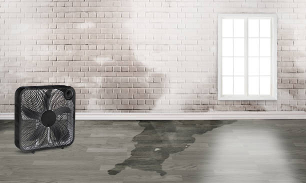 Water damage restoration experts in Holgate, OH