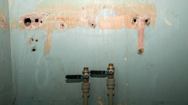 Best Water damage restoration services  in Holgate, OH