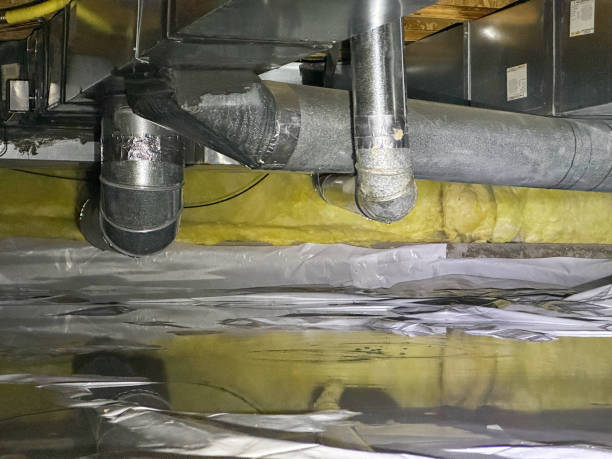 Best Carpet water damage restoration  in Holgate, OH