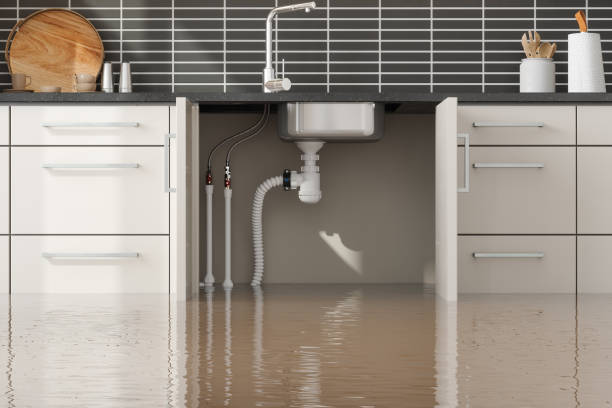 Best Fire Damage Restoration  in Holgate, OH