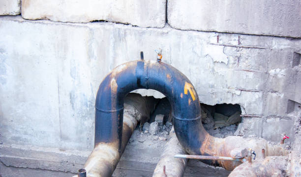 Best Water damage contractors near me  in Holgate, OH