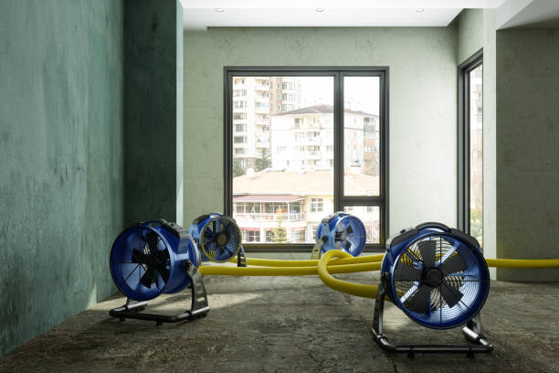 Water damage restoration mold remediation in Holgate, OH