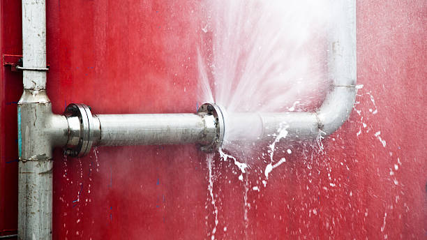 Best Flood damage cleanup  in Holgate, OH