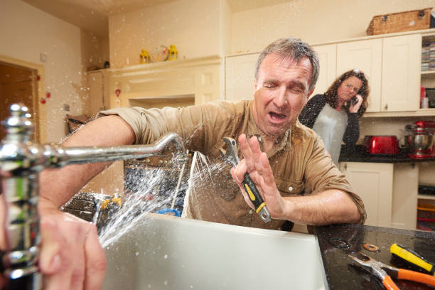 Best Basement water damage restoration  in Holgate, OH